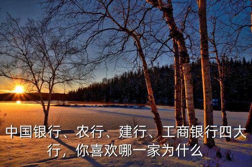 中國銀行、農(nóng)行、建行、工商銀行四大行，你喜歡哪一家為什么