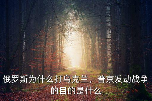 俄羅斯為什么打烏克蘭，普京發(fā)動戰(zhàn)爭的目的是什么