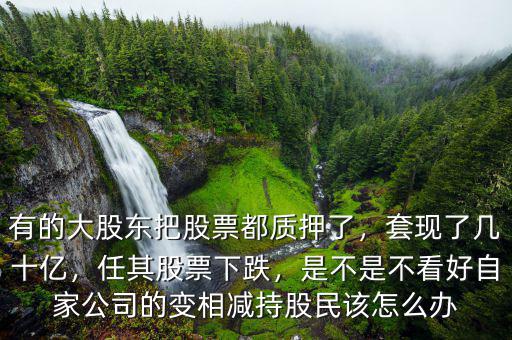 有的大股東把股票都質(zhì)押了，套現(xiàn)了幾十億，任其股票下跌，是不是不看好自家公司的變相減持股民該怎么辦