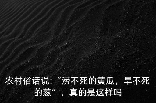 農(nóng)村俗話說(shuō):“澇不死的黃瓜，旱不死的蔥”，真的是這樣嗎
