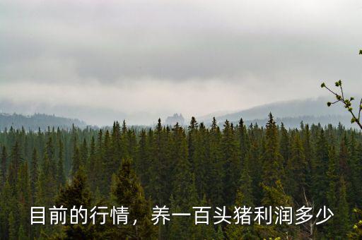 目前的行情，養(yǎng)一百頭豬利潤(rùn)多少