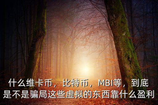 什么維卡幣，比特幣，MBI等，到底是不是騙局這些虛擬的東西靠什么盈利