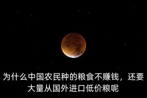 為什么中國農(nóng)民種的糧食不賺錢，還要大量從國外進(jìn)口低價糧呢