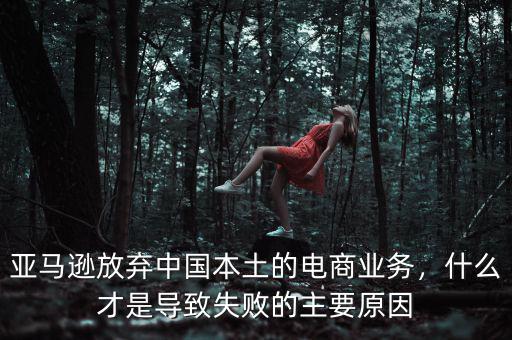 亞馬遜放棄中國本土的電商業(yè)務，什么才是導致失敗的主要原因