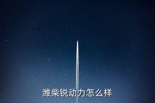 2015年濰柴銳動力賣了多少,為什么一年多了