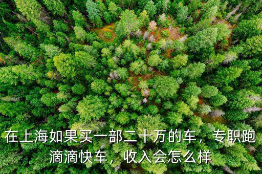 在上海如果買一部二十萬的車，專職跑滴滴快車，收入會(huì)怎么樣