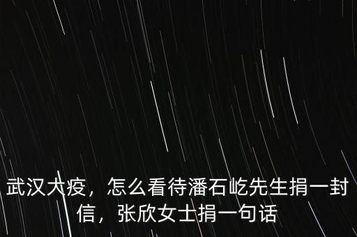 武漢大疫，怎么看待潘石屹先生捐一封信，張欣女士捐一句話