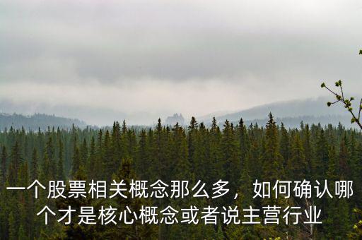 一個(gè)股票相關(guān)概念那么多，如何確認(rèn)哪個(gè)才是核心概念或者說主營行業(yè)