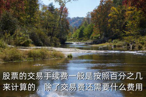 股票的交易手續(xù)費(fèi)一般是按照百分之幾來(lái)計(jì)算的，除了交易費(fèi)還需要什么費(fèi)用
