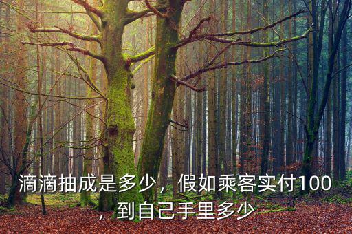 滴滴抽成是多少，假如乘客實付100，到自己手里多少