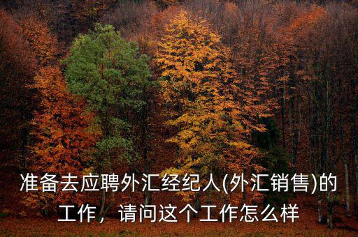 準(zhǔn)備去應(yīng)聘外匯經(jīng)紀(jì)人(外匯銷(xiāo)售)的工作，請(qǐng)問(wèn)這個(gè)工作怎么樣