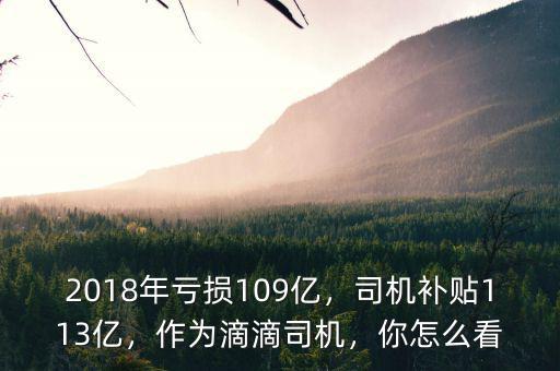 2018年虧損109億，司機(jī)補(bǔ)貼113億，作為滴滴司機(jī)，你怎么看