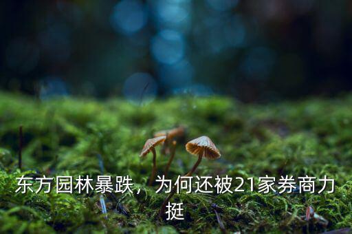 東方園林暴跌，為何還被21家券商力挺