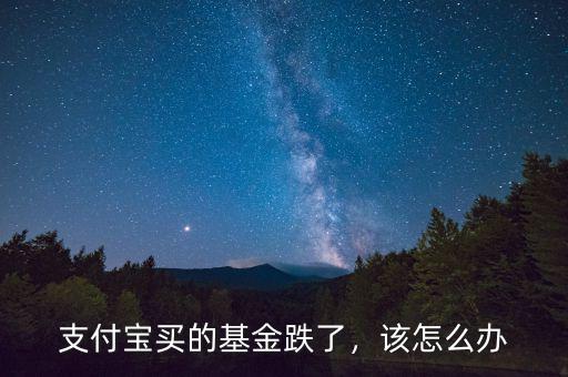支付寶買的基金跌了，該怎么辦