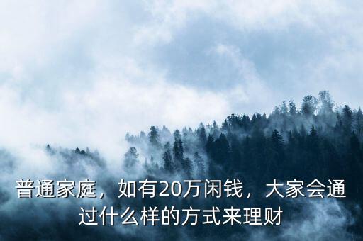 普通家庭，如有20萬閑錢，大家會通過什么樣的方式來理財