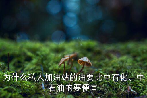 為什么私人加油站的油要比中石化、中石油的要便宜