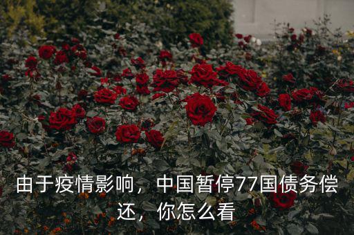 由于疫情影響，中國暫停77國債務(wù)償還，你怎么看