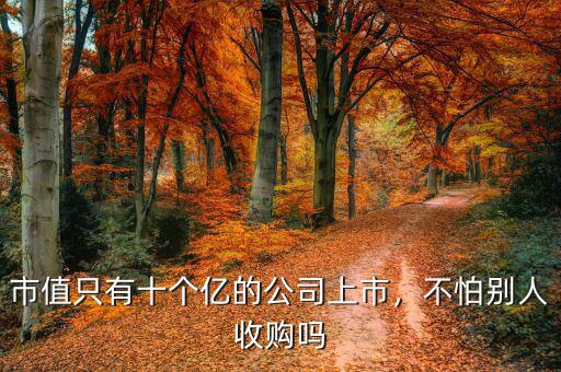 市值只有十個(gè)億的公司上市，不怕別人收購(gòu)嗎