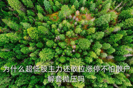 為什么超低股主力還敢拉漲停不怕散戶(hù)解套拋壓?jiǎn)? class=