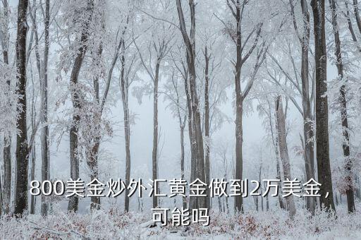 800美金炒外匯黃金做到2萬美金，可能嗎