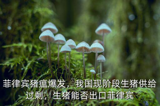 菲律賓豬瘟爆發(fā)，我國現(xiàn)階段生豬供給過剩，生豬能否出口菲律賓