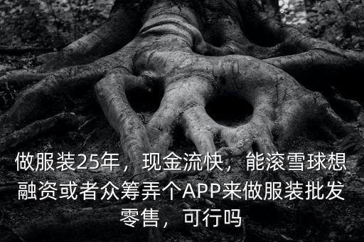 做服裝25年，現(xiàn)金流快，能滾雪球想融資或者眾籌弄個APP來做服裝批發(fā)零售，可行嗎