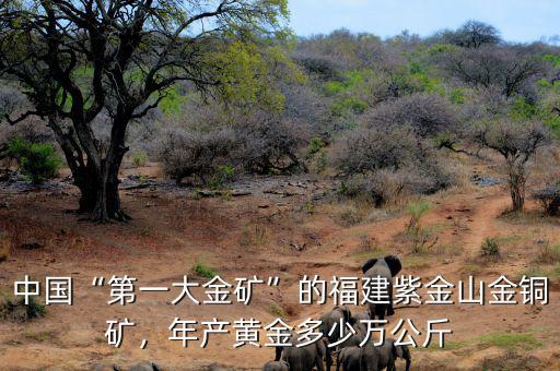 中國(guó)“第一大金礦”的福建紫金山金銅礦，年產(chǎn)黃金多少萬公斤