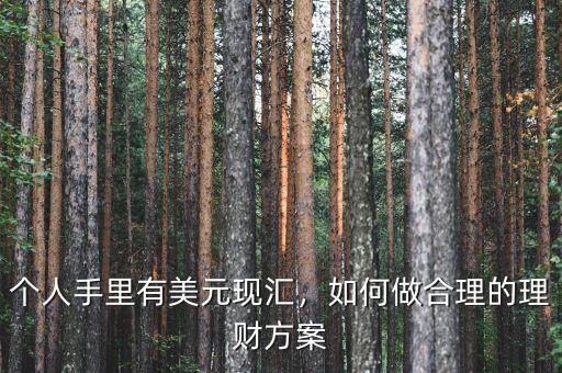個人手里有美元現(xiàn)匯，如何做合理的理財(cái)方案