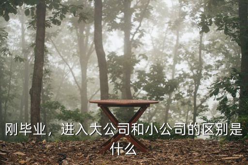 剛畢業(yè)，進入大公司和小公司的區(qū)別是什么