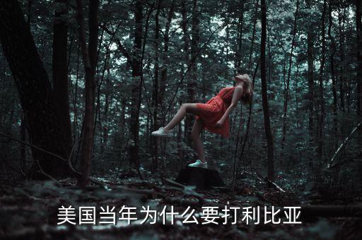 美國(guó)當(dāng)年為什么要打利比亞