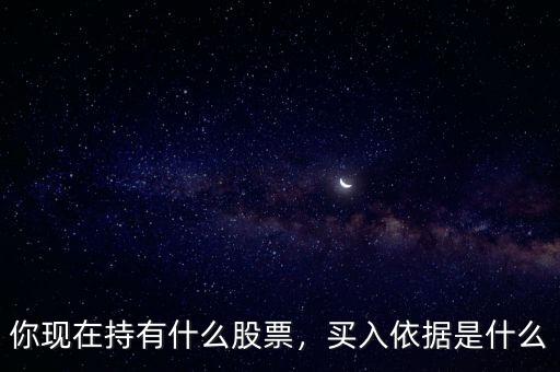 你現在持有什么股票，買入依據是什么