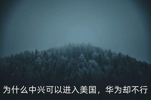為什么華為不能進(jìn)美國(guó),為什么中興可以進(jìn)入美國(guó)