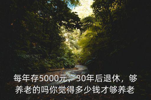 每年存5000元，30年后退休，夠養(yǎng)老的嗎你覺得多少錢才夠養(yǎng)老