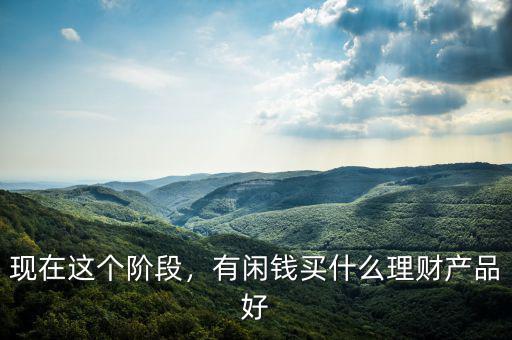現(xiàn)在這個(gè)階段，有閑錢買什么理財(cái)產(chǎn)品好