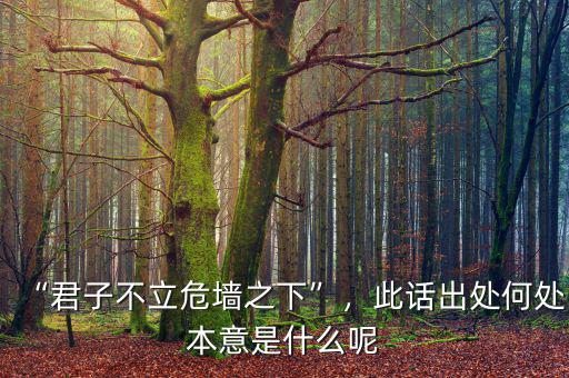 “君子不立危墻之下”，此話出處何處本意是什么呢