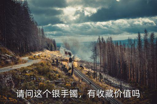 請問這個銀手鐲，有收藏價值嗎