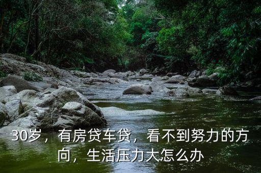 30歲，有房貸車貸，看不到努力的方向，生活壓力大怎么辦