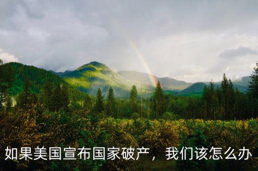 如果美國宣布國家破產(chǎn)，我們該怎么辦