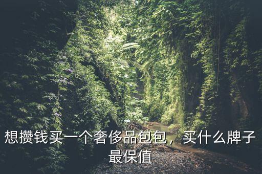 想攢錢(qián)買(mǎi)一個(gè)奢侈品包包，買(mǎi)什么牌子最保值