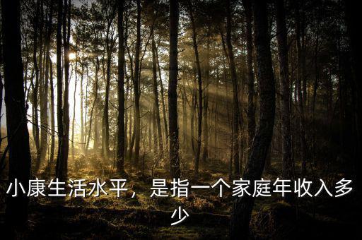 小康生活水平，是指一個家庭年收入多少