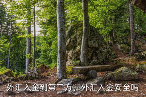 外匯入金到第三方，外匯入金安全嗎