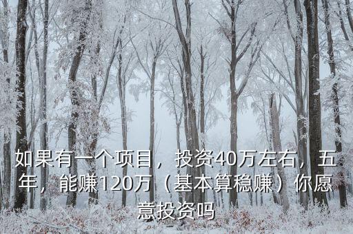 如果有一個項目，投資40萬左右，五年，能賺120萬（基本算穩(wěn)賺）你愿意投資嗎