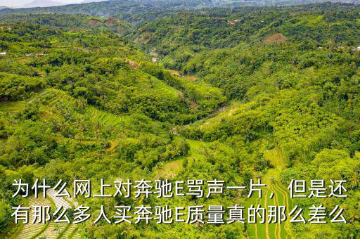 為什么網(wǎng)上對奔馳E罵聲一片，但是還有那么多人買奔馳E質(zhì)量真的那么差么