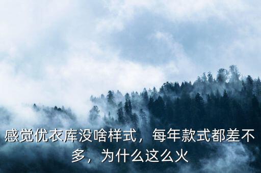 感覺優(yōu)衣庫沒啥樣式，每年款式都差不多，為什么這么火