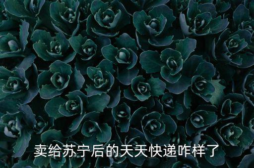 天天快遞市場怎么樣,想轉讓縣城里天天快遞代理