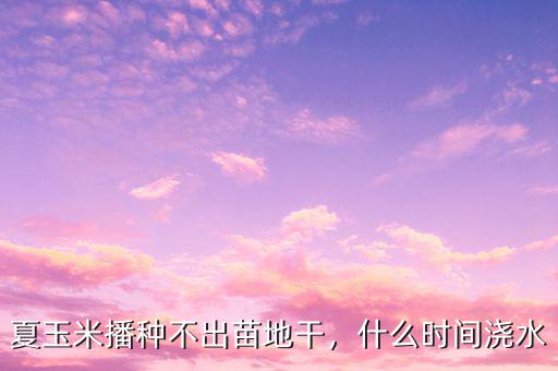 夏玉米播種不出苗地干，什么時(shí)間澆水
