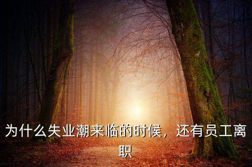 為什么失業(yè)潮來臨的時(shí)候，還有員工離職