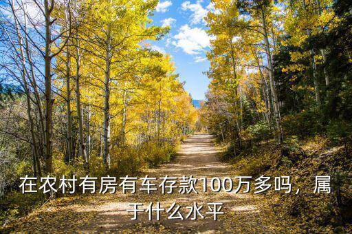 在農(nóng)村有房有車存款100萬(wàn)多嗎，屬于什么水平