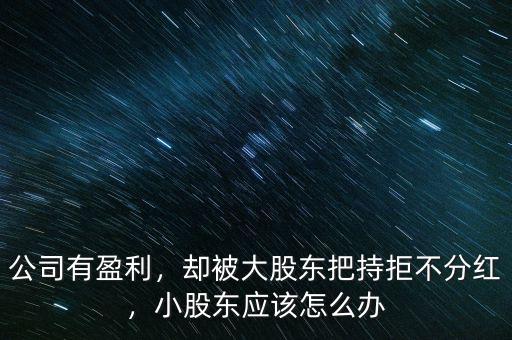 公司有盈利，卻被大股東把持拒不分紅，小股東應(yīng)該怎么辦
