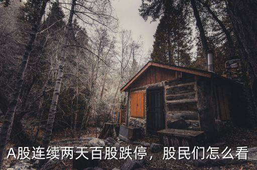 A股連續(xù)兩天百股跌停，股民們怎么看